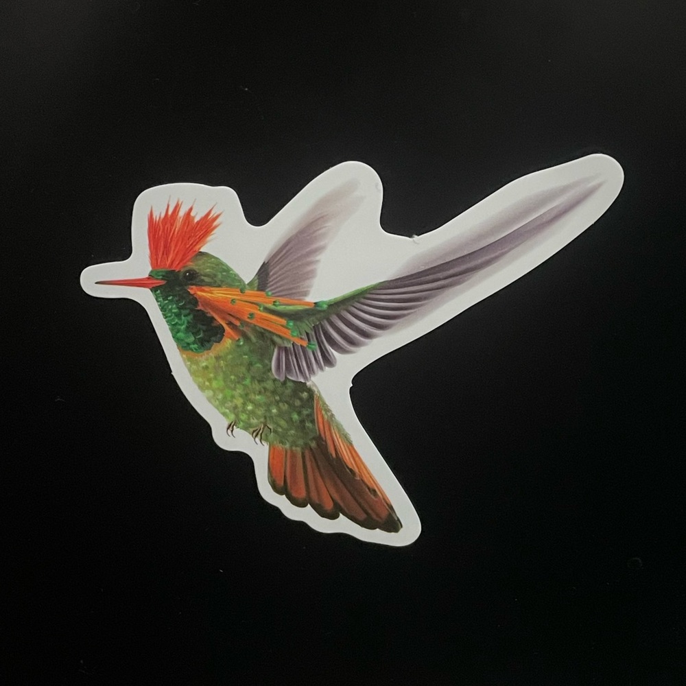 Hummingbird Sticker